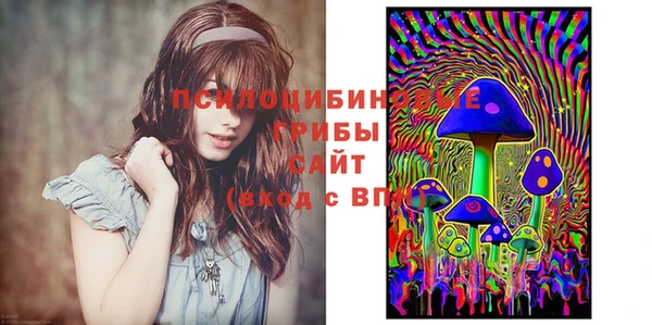 спиды Балахна
