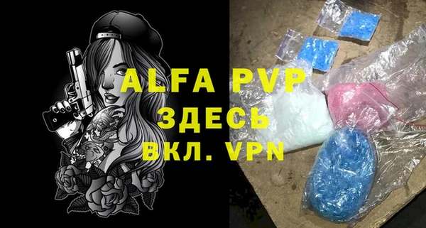 стаф Баксан