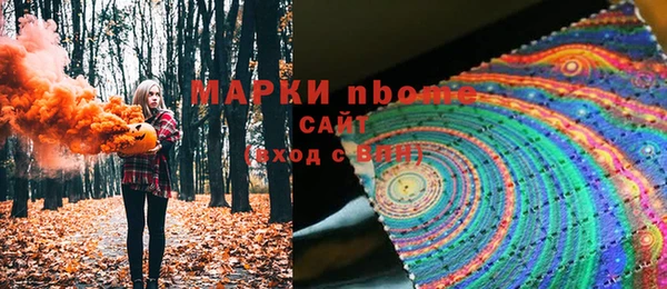 стаф Покачи