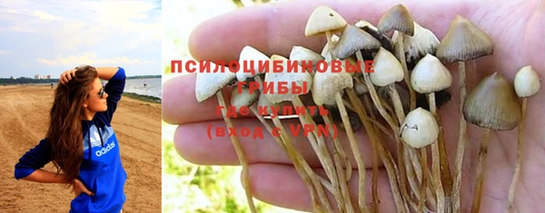 а пвп мука Покровск